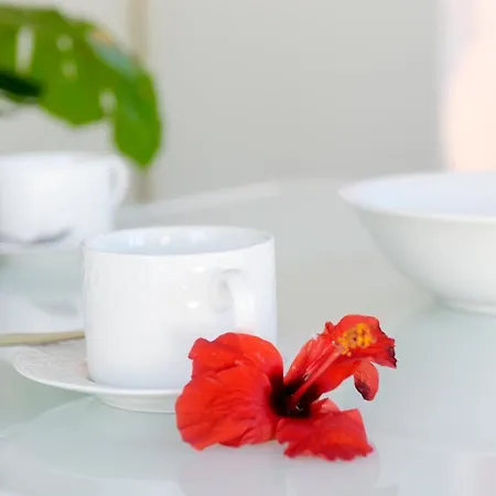 Irilena - 4bdr House Vila *